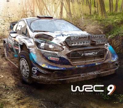 WRC 9 FIA World Rally Championship Steam АККАУНТ